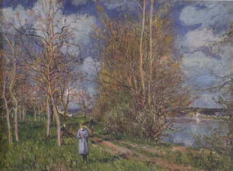Die kleinen Wiesen im Frühling